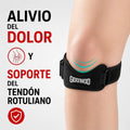 RODILLERA ROTULIANO