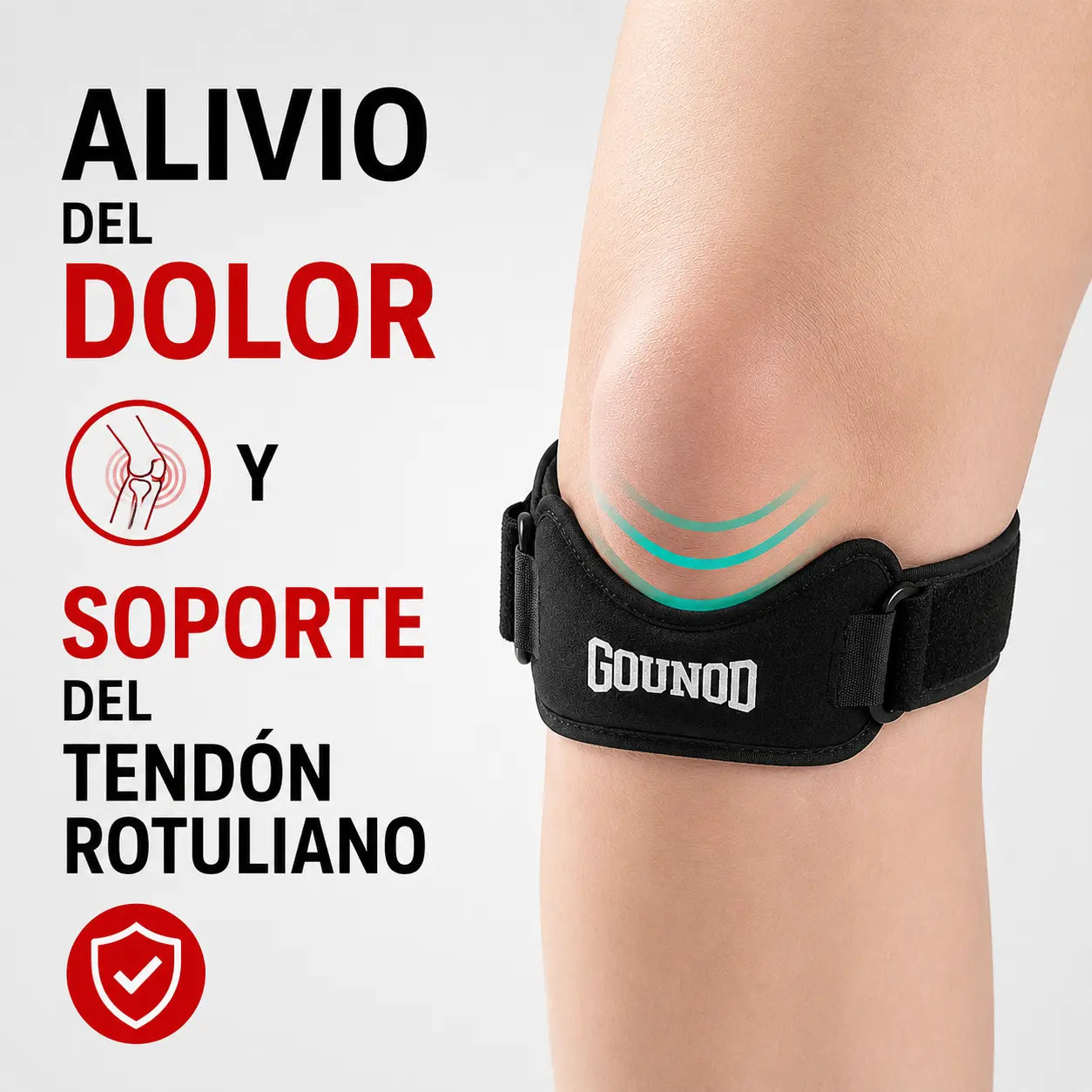 RODILLERA ROTULIANO